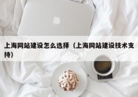 上海网站建设怎么选择（上海网站建设技术支持）